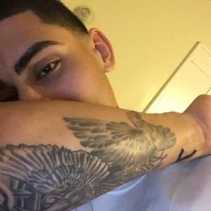 Meet your Posher, Harry